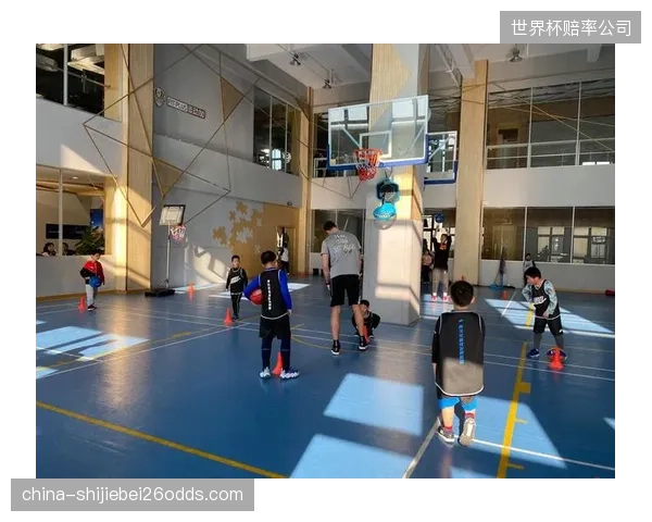 上海YBDL篮球学院独家落地“小篮球2.0”考评体系，学员成长路径首次实现全程可视化
